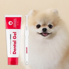 자유펫 치카탄세트 강아지 고양이 애견 치약 칫솔 양치 세트, 1개, 80g