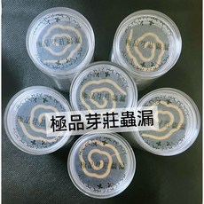 承樂製香廠 無黏祥雲盤香, 極品芽莊蟲漏