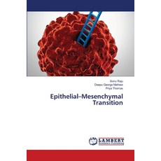 (영문도서)Epithelial-Mesenchymal Transition Paperback, LAP Lambert Academic Publis..., English, 9786209158315