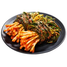 [밤바다김치] 갓 담근 전라도 파 김치 주문 [원산지:국산(전라남도 여수시)], 1개, 2kg