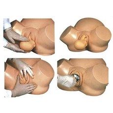 高級孕婦難產示教訓練模型 婦產科教學教具模型, 1個, 高級孕婦難產示教訓練模型ARFX