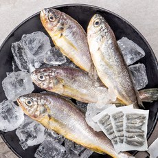 영광법성포 알뜰굴비 60미 3kg내외 (20미x3봉 미당40~60g 벌크포장), 단품