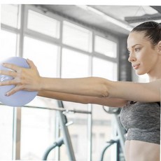 미니 짐볼 25cm, 라벤더