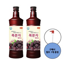 광야 늘감사 복분자 베이스, 2개, 970ml