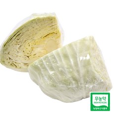 울팜 아삭 달달 국내산 친환경 양배추 제주 무안 밀양, 300g, 1개