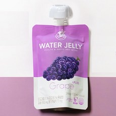 탐미유 비타민 식물성유산균 식이섬유 워터젤리 플러스 포도맛, 100ml