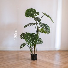 식물 몬테스라 몬스테라 대형 인테리어 조화 매장 화분 카페, 몬스테라-120cm