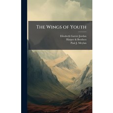 (英文圖書)The Wings of Youth 精裝版, Hutson Street Press, 英文