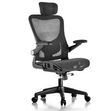 HOMEY NEST 메쉬 사무실 사무용의자 3D팔걸이 틸팅가능 요추 허리보호 체어 HN-OC107, 블랙