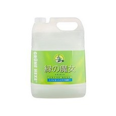 Grune Hexe 綠色魔女 廚房洗潔精 營業用, 1個, 5L