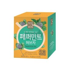 데이슬롯 페퍼민트차 0.8gx20T 식음료, 800mg, 1, 20