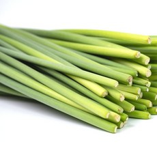 국내산 아삭아삭 마늘쫑 2kg, 1개, 2000g