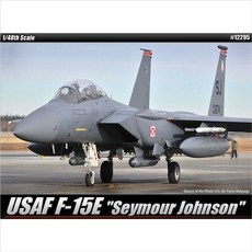 [생활의힘]아카데미과학 F-15E 스트라이크 이글 조립키트, 본상품