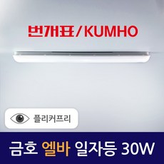 번개표 금호전기 엘바 LED 일자등 30W 2p, 주광색, 2개