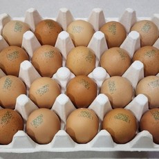 난각번호1번 왕란 20구 유정란 자연방사 동물복지 무항생제 계란 유기농달걀