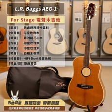 L.R. Baggs AEG-1 For Stage 電聲木吉他 - 全新現貨, 1個