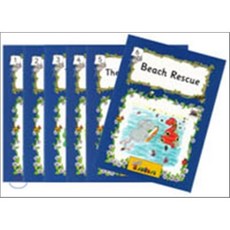 Jolly Phonics Readers Inky & Friends Level 4 : in Precursive Letters (British English edition), Jolly Learning Ltd