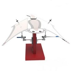 5인세트 오토마타 원리 하늘다람쥐 오토마타만들기 키트 과학실험