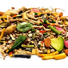 허약 햄스터 혼합곡물 고급 영양사료 햄스터모이 초식동물밥, 1개, 1kg