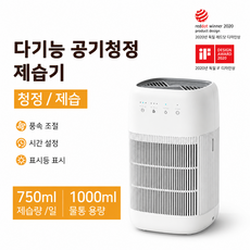 소형 제습기 750ml 대용량 2in1 공기청정 제습기 HEPA필터 초저소음 원룸 욕실 드레스룸 가정용 제습기, Q10