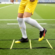 트레이닝 풋워크 스텝레더 4m, 1개, 상세페이지 참조