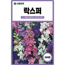 산들마켓 락스퍼 씨앗 200립 락스퍼 일년생 꽃씨 종자, 1개