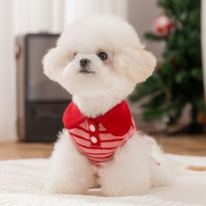 DFMEI 寵物小狗狗衣服打底衫秋冬款保暖小型幼犬比熊泰迪雪納瑞貓咪秋裝, 1個, 紅色翻領條紋