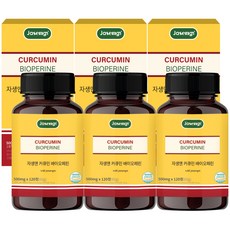 자생앤 커큐민 바이오페린, 120정, 3개(360정)