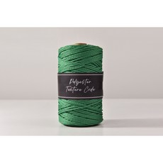 2.5mm 소프트 폴리에스터 텍스쳐 코드 300g 뜨개실 네트백 부드러운 코바늘실 마크라메 재료, 52.Grass Green