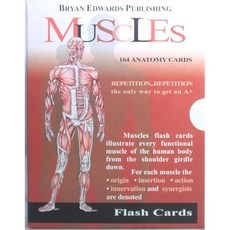 근육 플래시 카드 아나토미