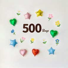 해피제이니 플라워 펠트 숫자 데이즈 하트 별 호일풍선 기념일 파티세트, 1세트, 플라워 풍선세트 500데이