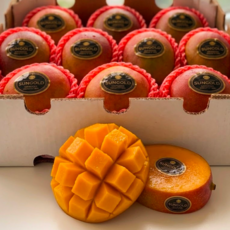 [만족도최상]한정수량 고당도 애플망고 항공직송, 1박스, 1kg(2-3과)