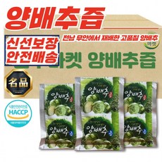 x 100ml 30포 양배추즙 원물100% 손수재배 무안, 1개, 1ml