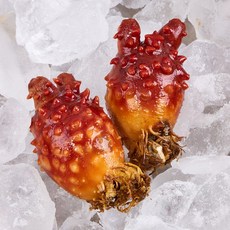 바다향 가득 통영 꽃멍게(피멍게) 1kg, 1박스