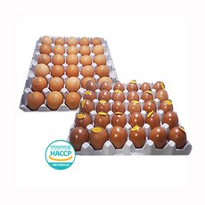 승혜상사 구운계란 군꼬꼬란30 황토훈제란30 [총60구], 1세트, 60구