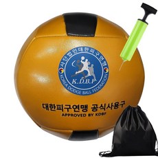 피안 PIAN 피구공 학교 공인피구공 대한피구협회공인구 투센 볼펌프 파우치, 1세트, 중고등용/성인용