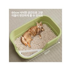 고양이 화장실 낮은 실내 새끼 그 입구 모래 개방형 미니멀리스트그레이 42cm 중형, 레몬옐로우 42cm 중형