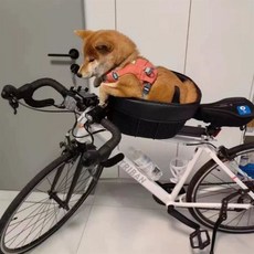 자전거 강아지 안장 시트 라이딩 애견 바구니 애견, 접이식, 1개