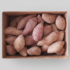 해남 고구마 프리미엄 꿀고구마, 1개, 10kg (대)