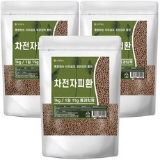 건강중심 차전자피 환, 3개, 1kg