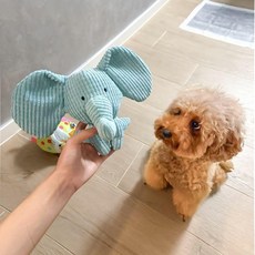 狗狗耐咬磨牙毛絨發聲玩具 互動自嗨大耳小藍象, 1個, 狗狗看的見藍色 - 可發聲 +大耳小藍