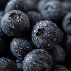 [프리미엄] 고당도 선별 칠레산 생블루베리 (125g/개당18mm), 1박스, 125g * 2팩 (개당 18mm)