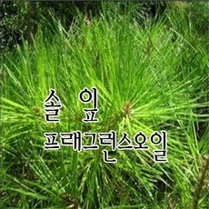 [허니솝] 프래그런스 오일 20ml 50ml 100ml 비누만들기재료 화장품DIY, 09. 솔잎f.o x 20ml, 1개