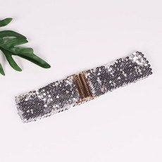 와이드스팽글벨트 차밍댄스복 라틴댄스복(1) (1), 은