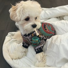 강아지문신옷 강아지타투옷 강아지이레즈미옷, one color, 1개