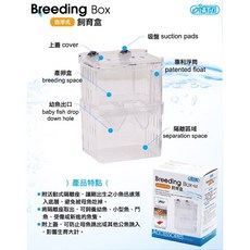 帥哥水族【ISTA伊士達】自浮式飼育繁殖盒 (S/L/XL ) 飼育盒 繁殖盒 鬥魚 孔雀魚, S, 1個