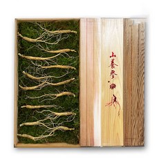 바른삼연구소 프리미엄 100% 국내산 산양삼 선물세트 장뇌삼 산양산삼 산삼, 7~8년근 5뿌리, 일반포장(신선스티로폼+고급보자기)