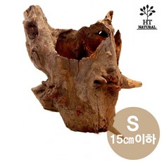 세틀 프리미엄 그루터기 유목 S 15cm이하 자연우드 어항 수족관 그루터기 우드 은신처, 1개