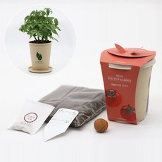 2보급창고 방울토마토 키우기 재배 키트 거실화분인테리어