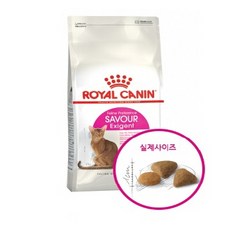 로얄캐닌 고양이 엑시전트 세이버 사료, 닭, 4kg, 1개